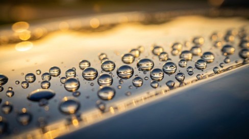 UV Resistance and Paint Preservation